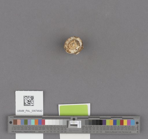 NSF ADBC EPICC TCN