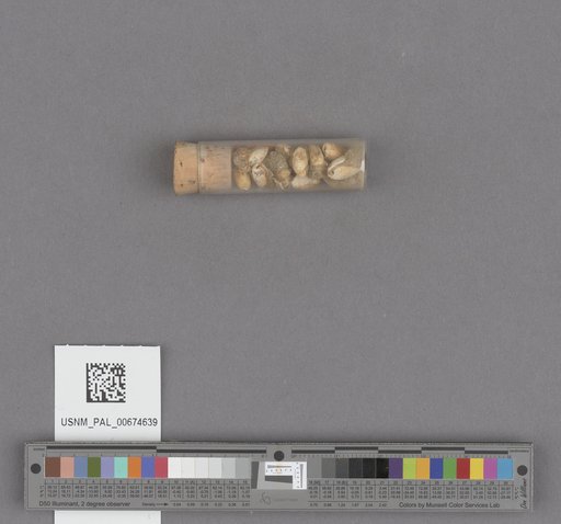 NSF ADBC EPICC TCN