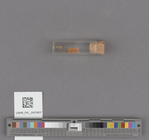 NSF ADBC EPICC TCN