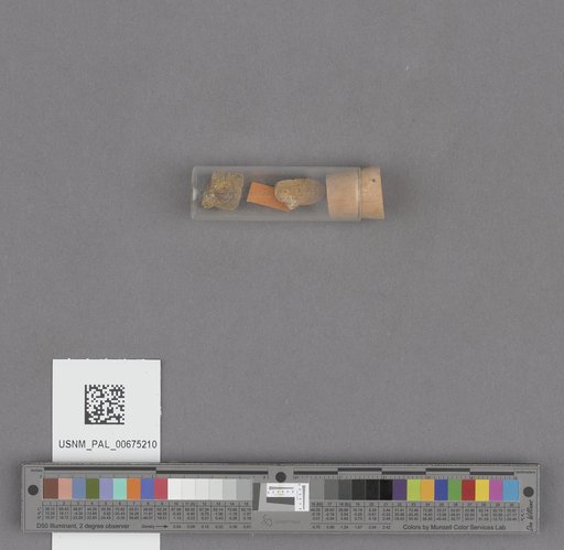 NSF ADBC EPICC TCN