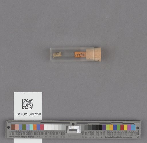 NSF ADBC EPICC TCN