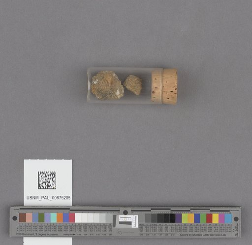 NSF ADBC EPICC TCN