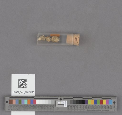 NSF ADBC EPICC TCN