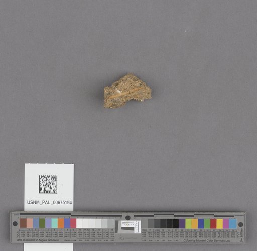 NSF ADBC EPICC TCN