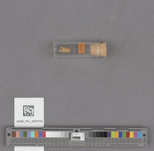 NSF ADBC EPICC TCN