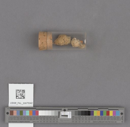 NSF ADBC EPICC TCN