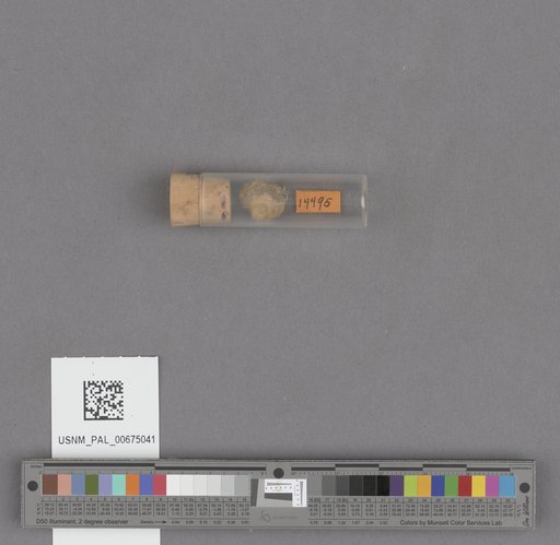 NSF ADBC EPICC TCN