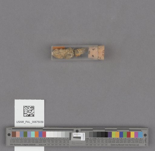 NSF ADBC EPICC TCN