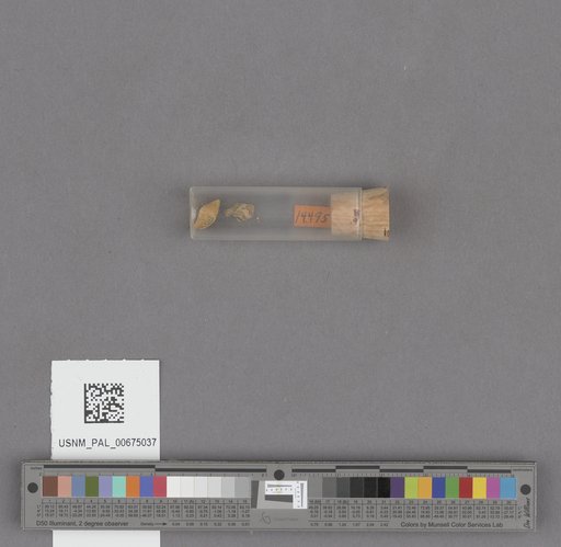 NSF ADBC EPICC TCN