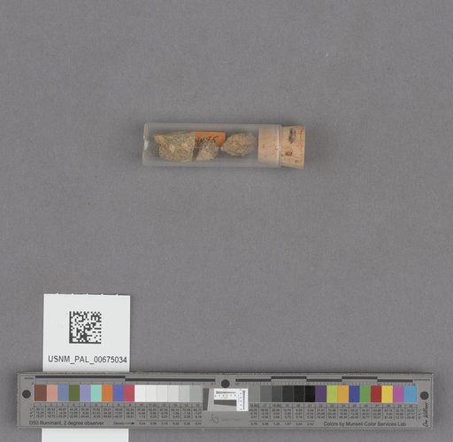 NSF ADBC EPICC TCN