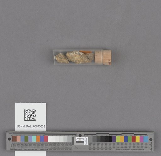 NSF ADBC EPICC TCN