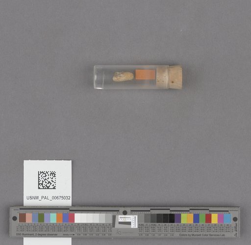 NSF ADBC EPICC TCN