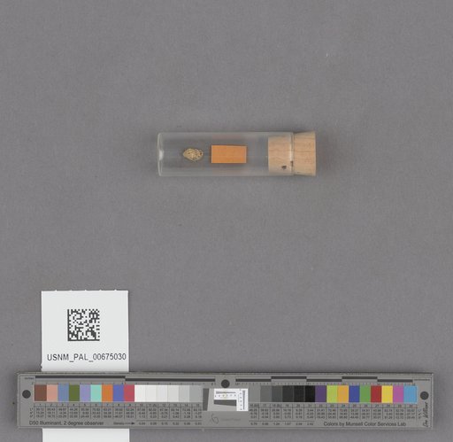 NSF ADBC EPICC TCN