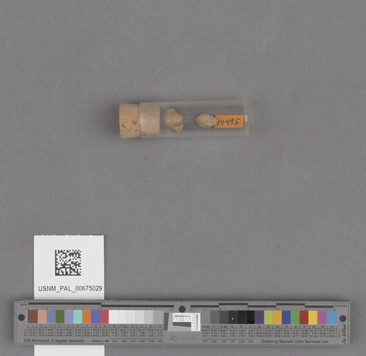 NSF ADBC EPICC TCN