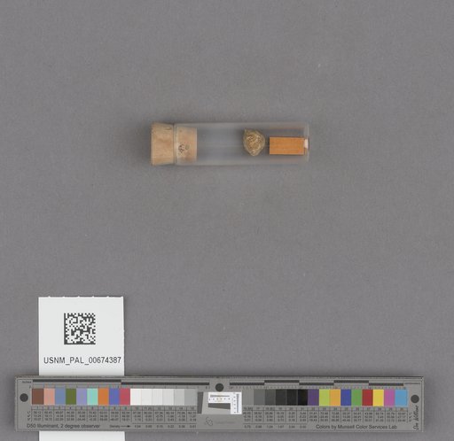 NSF ADBC EPICC TCN