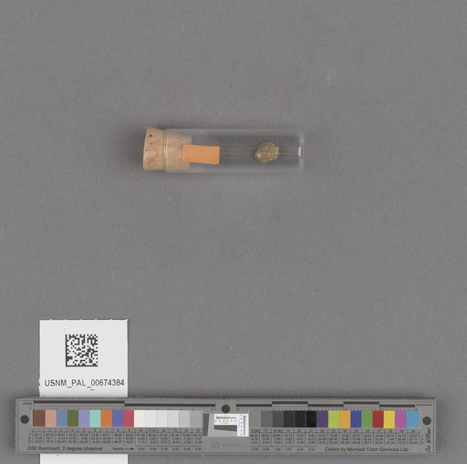 NSF ADBC EPICC TCN