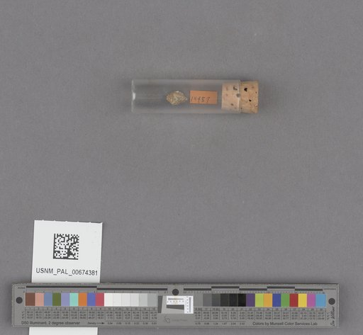 NSF ADBC EPICC TCN
