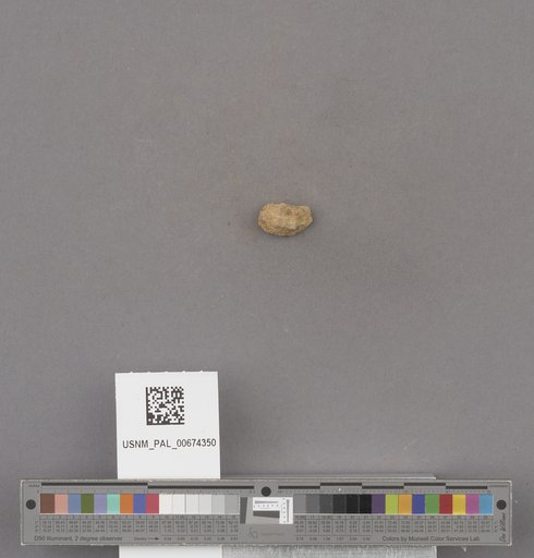 NSF ADBC EPICC TCN