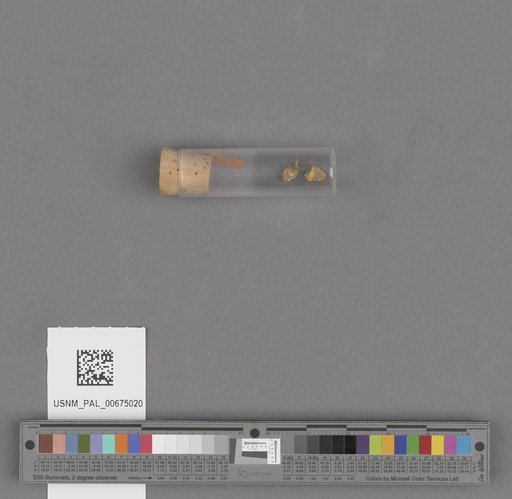 NSF ADBC EPICC TCN