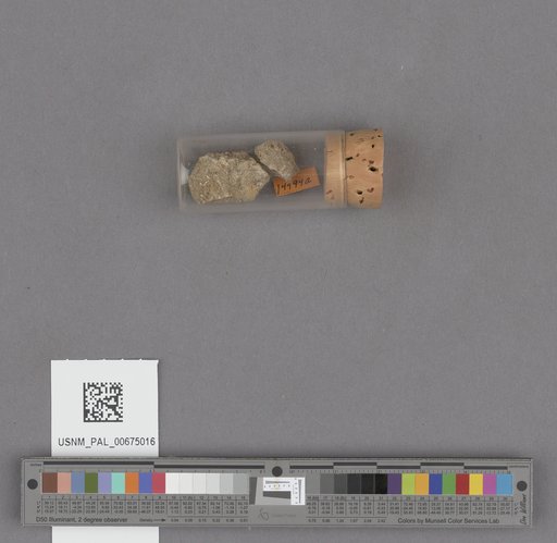 NSF ADBC EPICC TCN