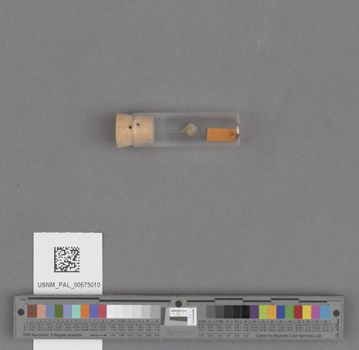 NSF ADBC EPICC TCN
