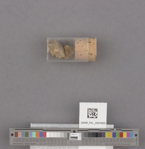NSF ADBC EPICC TCN