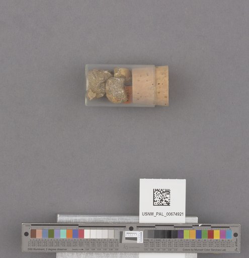 NSF ADBC EPICC TCN