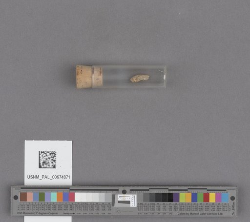 NSF ADBC EPICC TCN