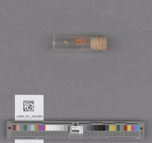 NSF ADBC EPICC TCN