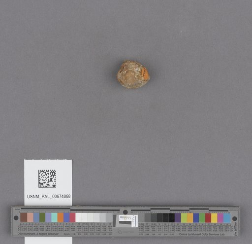 NSF ADBC EPICC TCN