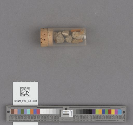 NSF ADBC EPICC TCN