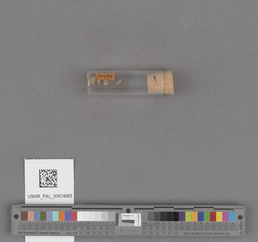 NSF ADBC EPICC TCN