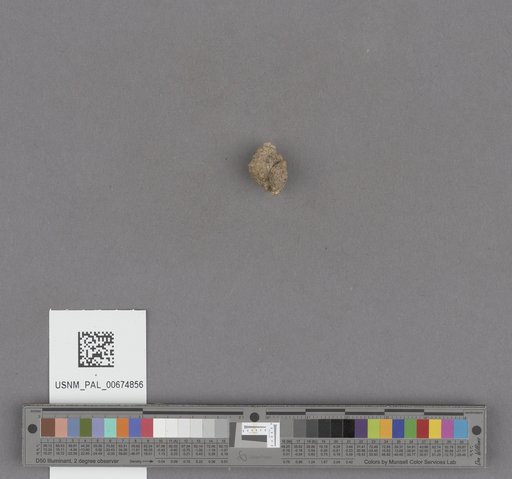 NSF ADBC EPICC TCN
