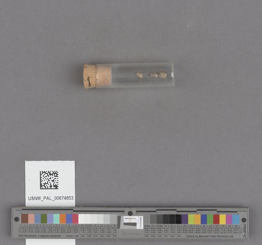 NSF ADBC EPICC TCN