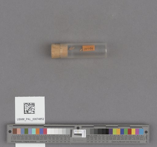 NSF ADBC EPICC TCN