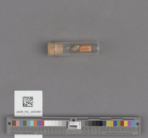 NSF ADBC EPICC TCN