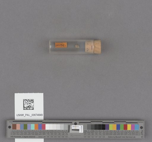 NSF ADBC EPICC TCN