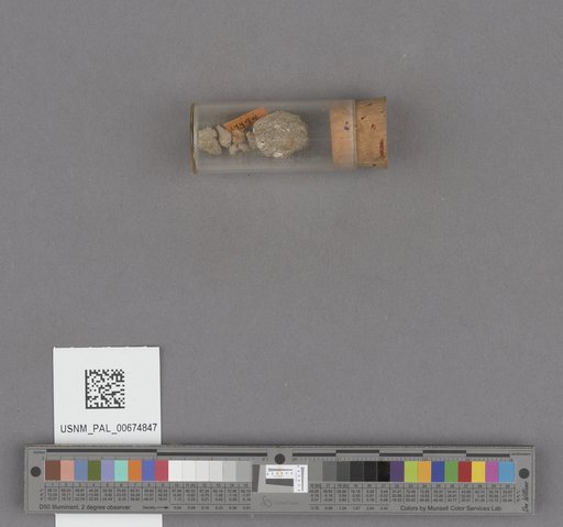 NSF ADBC EPICC TCN