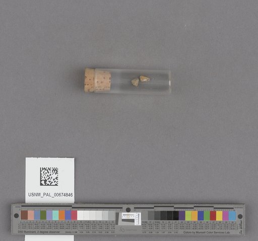 NSF ADBC EPICC TCN