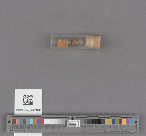 NSF ADBC EPICC TCN