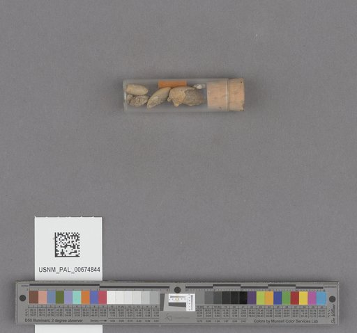 NSF ADBC EPICC TCN
