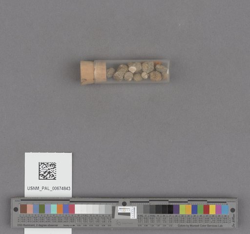 NSF ADBC EPICC TCN