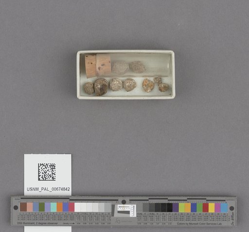 NSF ADBC EPICC TCN