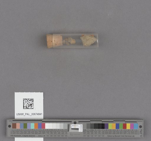 NSF ADBC EPICC TCN