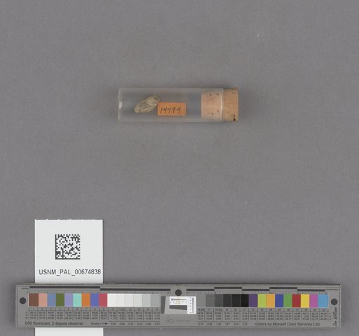 NSF ADBC EPICC TCN