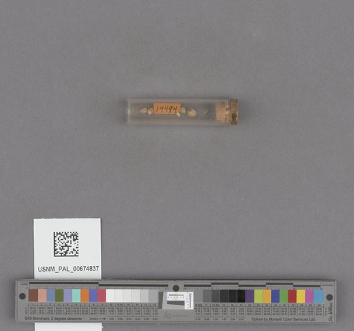 NSF ADBC EPICC TCN