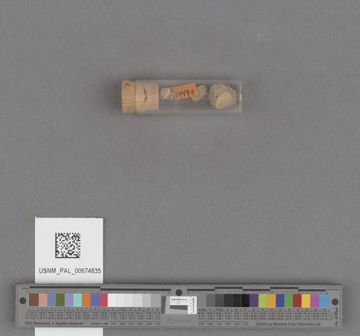 NSF ADBC EPICC TCN
