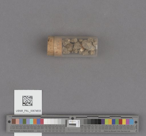 NSF ADBC EPICC TCN