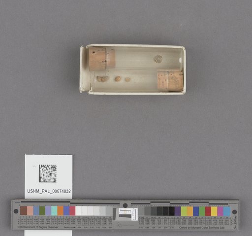 NSF ADBC EPICC TCN