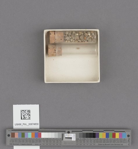 NSF ADBC EPICC TCN